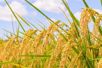 深圳中小微企业及商贸企业的仓储痛点